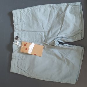 Soho mint green shorts
